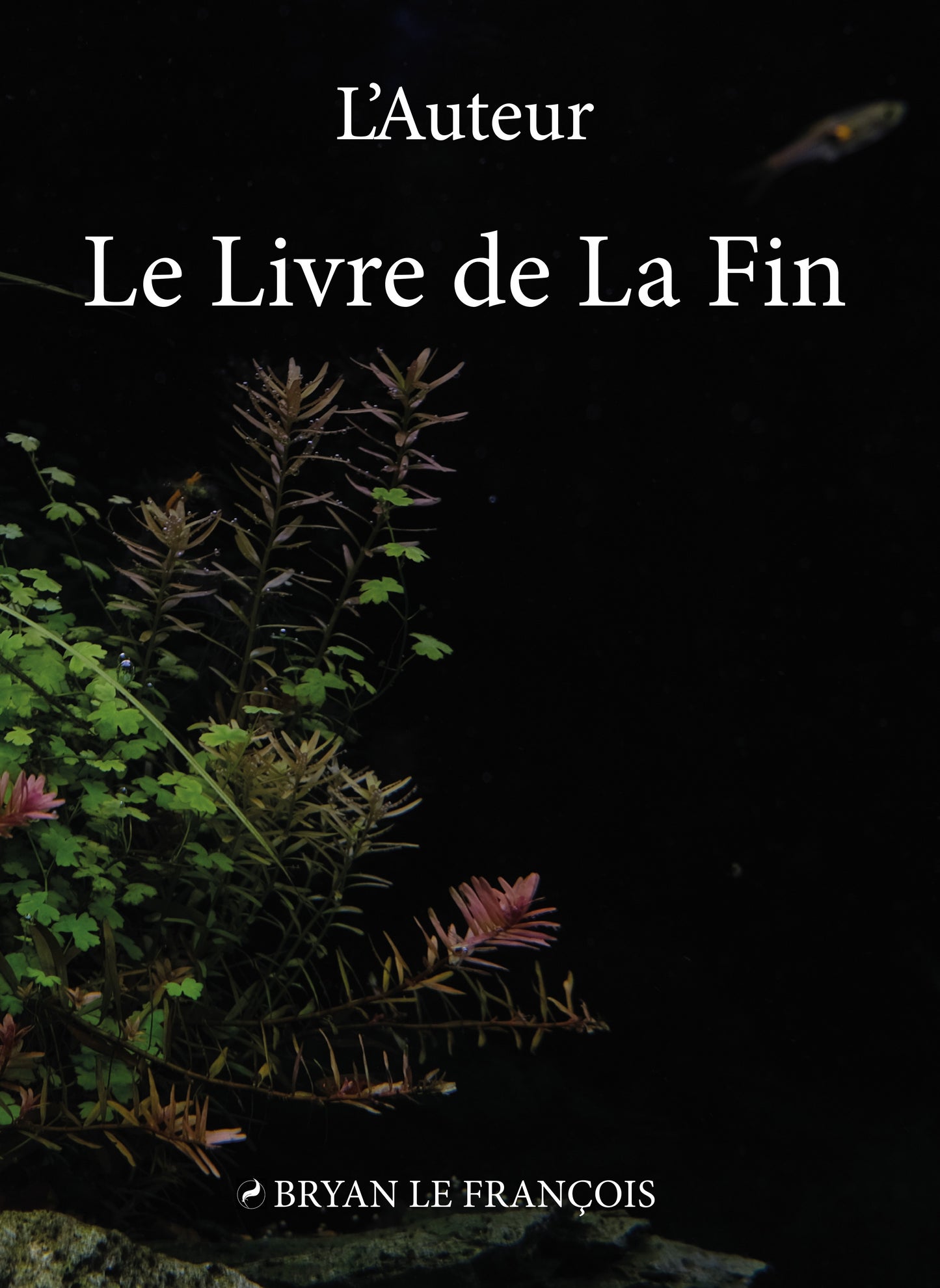 Le Livre de la Fin — édition limitée