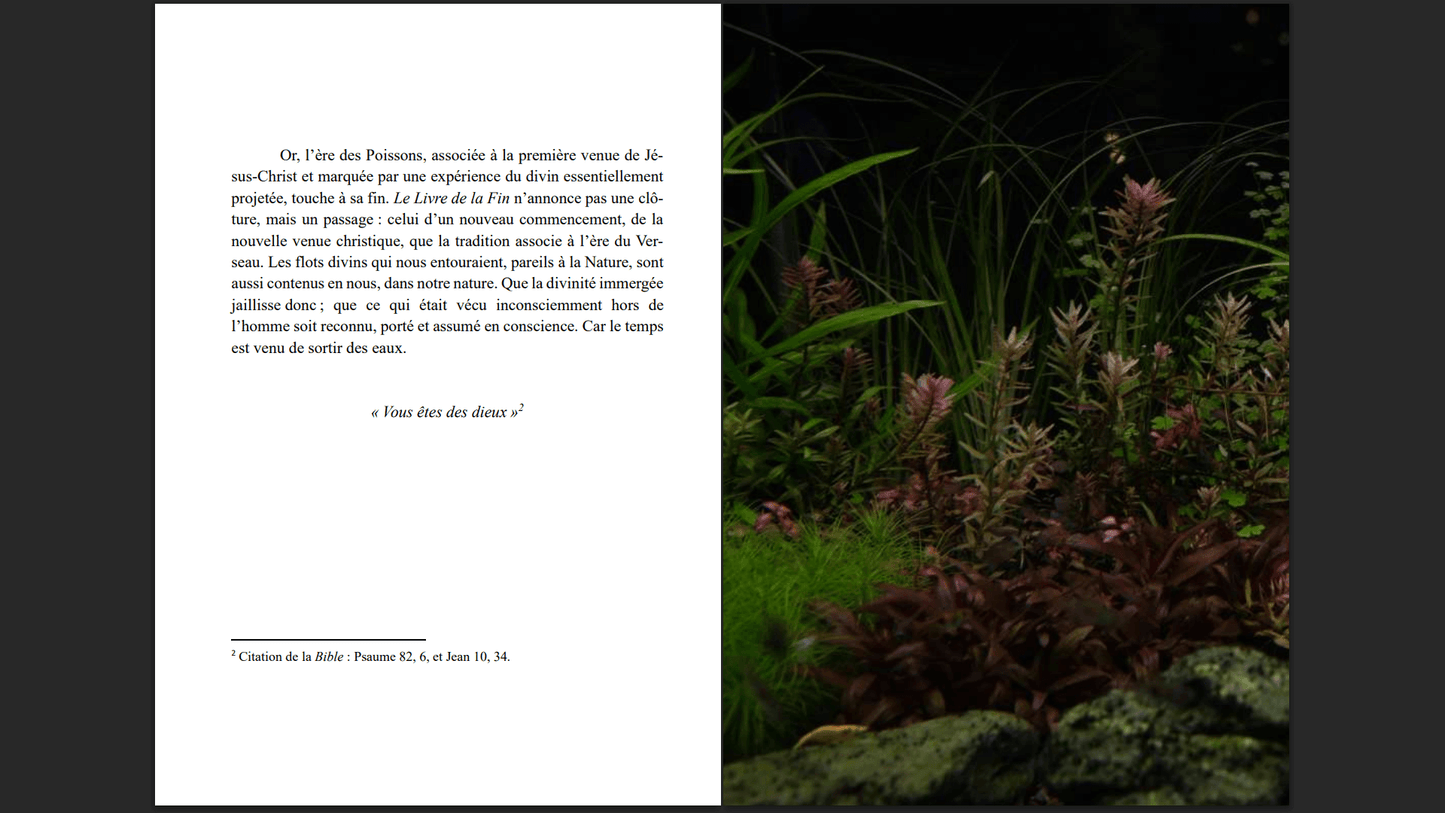 Le Livre de la Fin — édition limitée