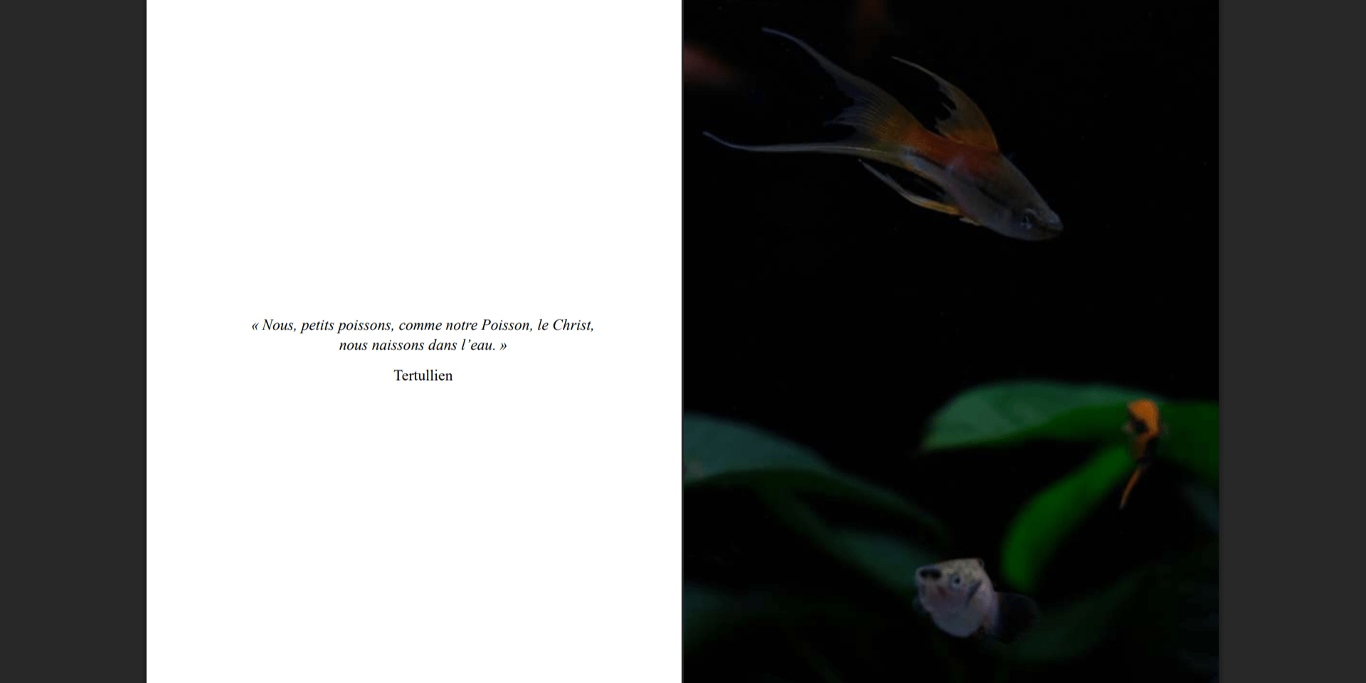 image du livre de la fin de la maison d'edition bryan le francois