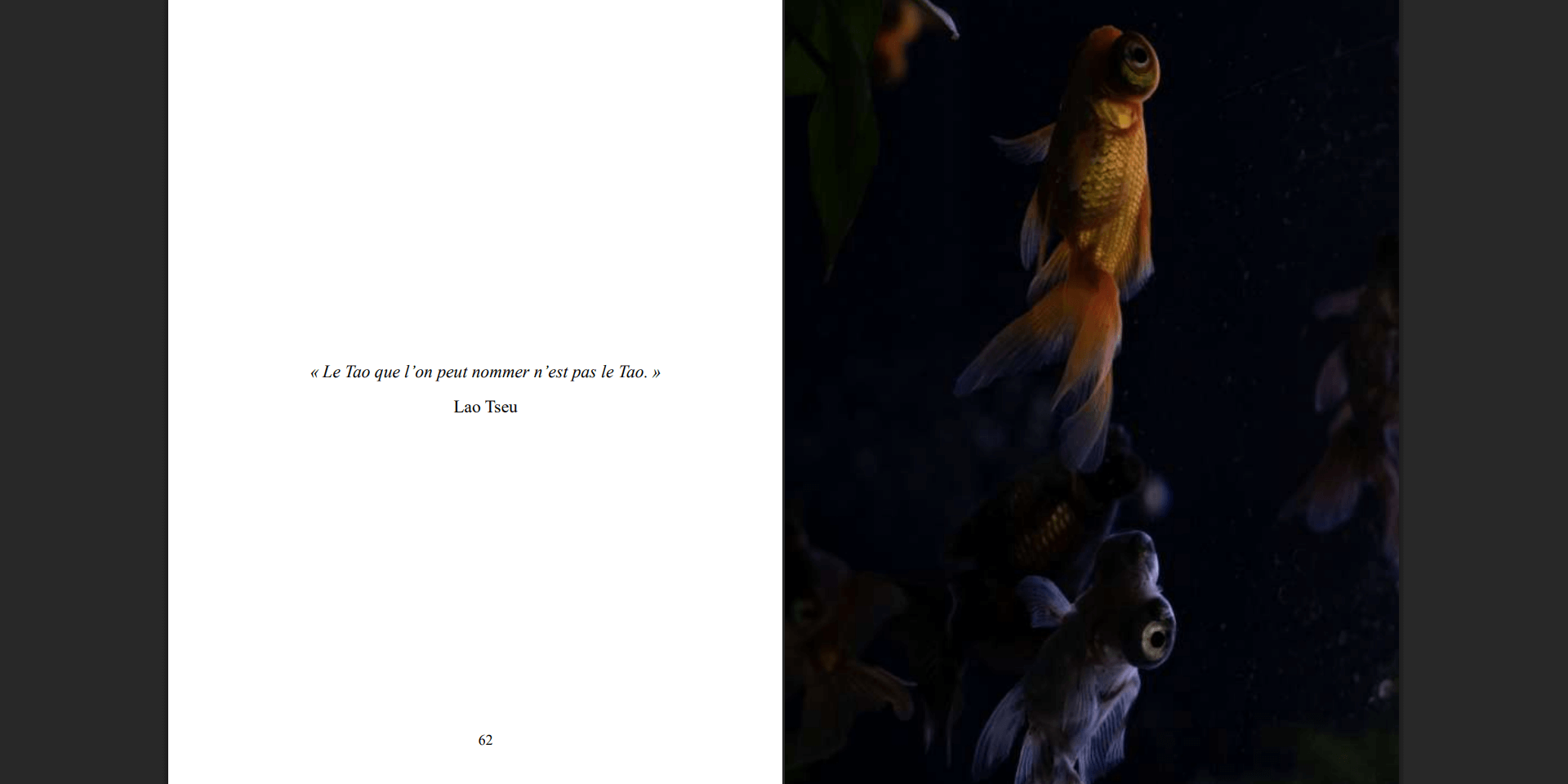 image du livre de la fin de la maison d'edition bryan le francois