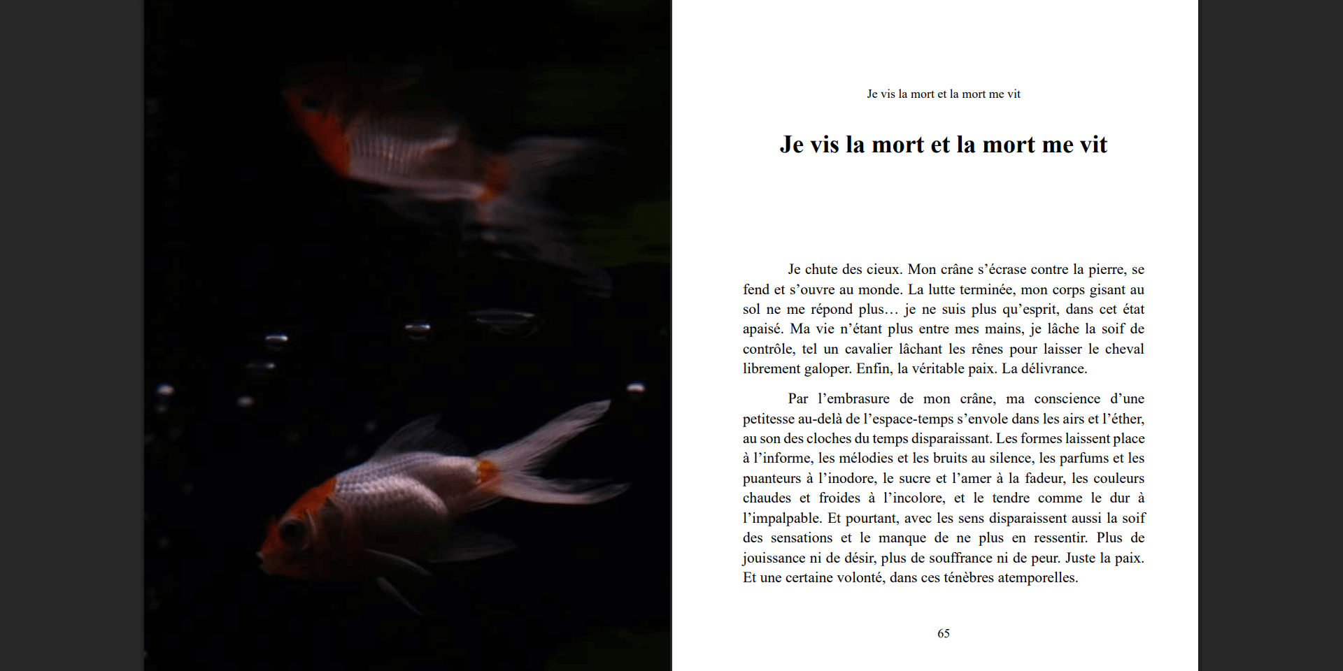 image du livre de la fin de la maison d'edition bryan le francois