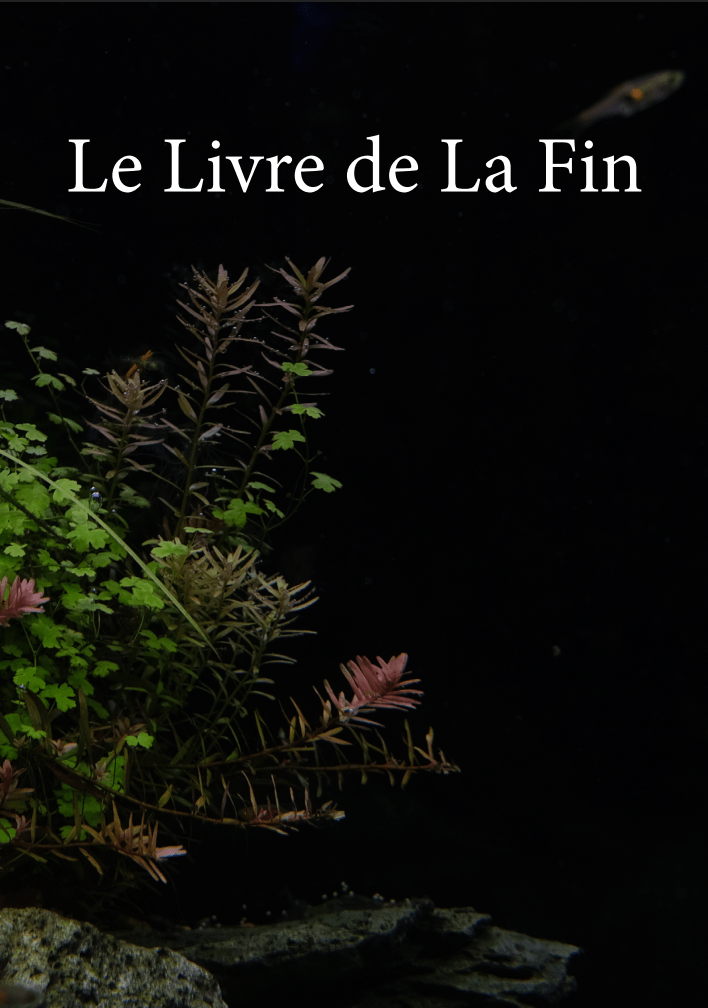 le livre de la fin